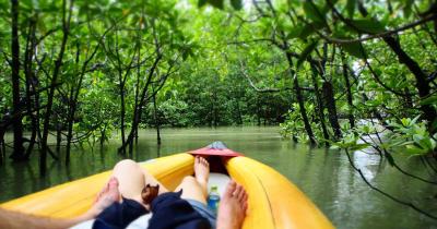 Phang Nga Bay by Speedboat