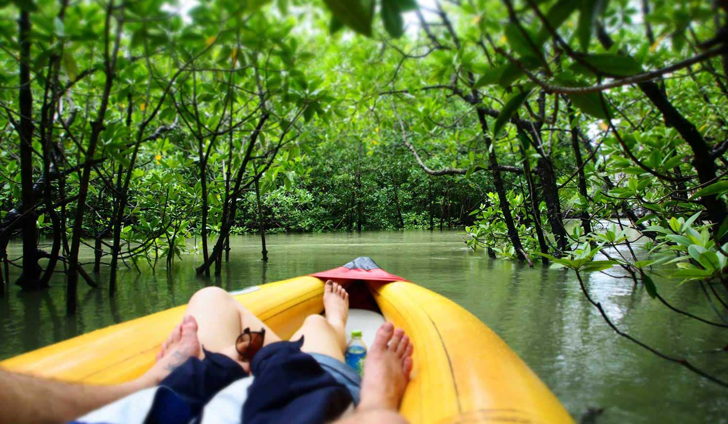 Phang Nga Bay by Speedboat